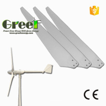 FRP Horizontal Axis Wind Turbine Blades for Wind Generator Use